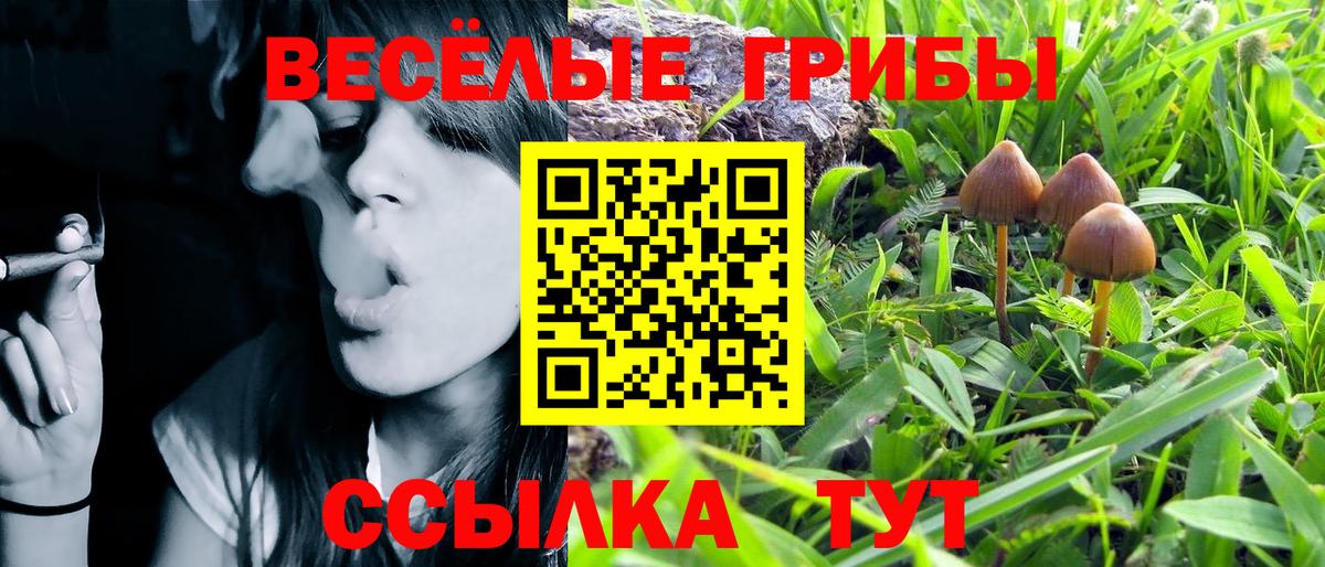 Псилоцибиновые грибы Psilocybe  Вход с VPN  Дзержинский  даркнет сайт  Галлюциногенные грибы мухоморы 